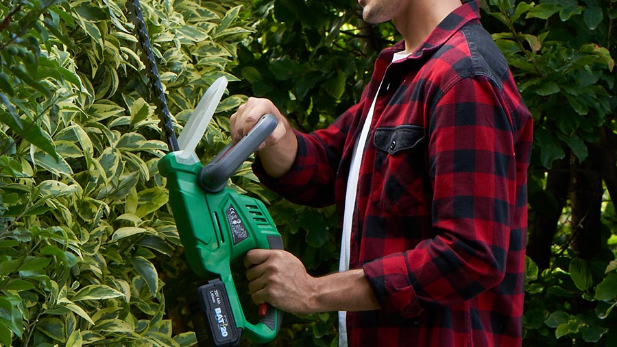 taille-haie sur batterie PRBAT20/TH Ribimex taille-haie sur batterie PRBAT20/TH Ribimex